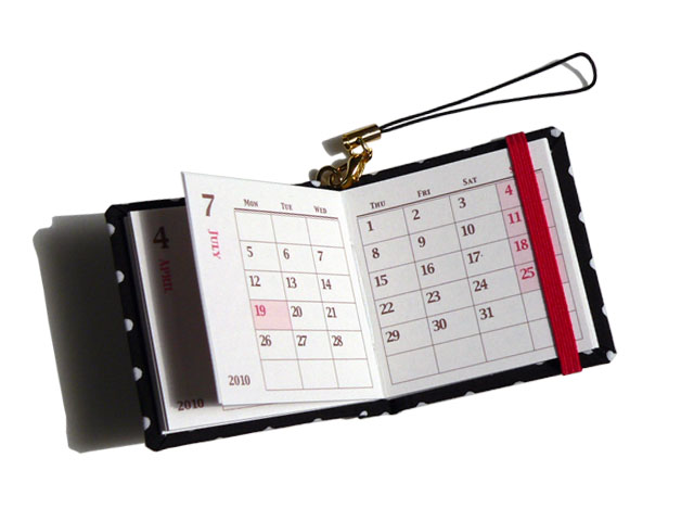 2010 Schedule Strap