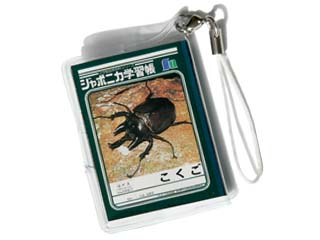 ジャポニカ学習帳 こくご