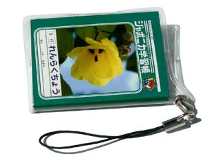 ミニジャポニカれんらくちょう